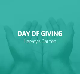 Day of Giving - Harvey's Garden