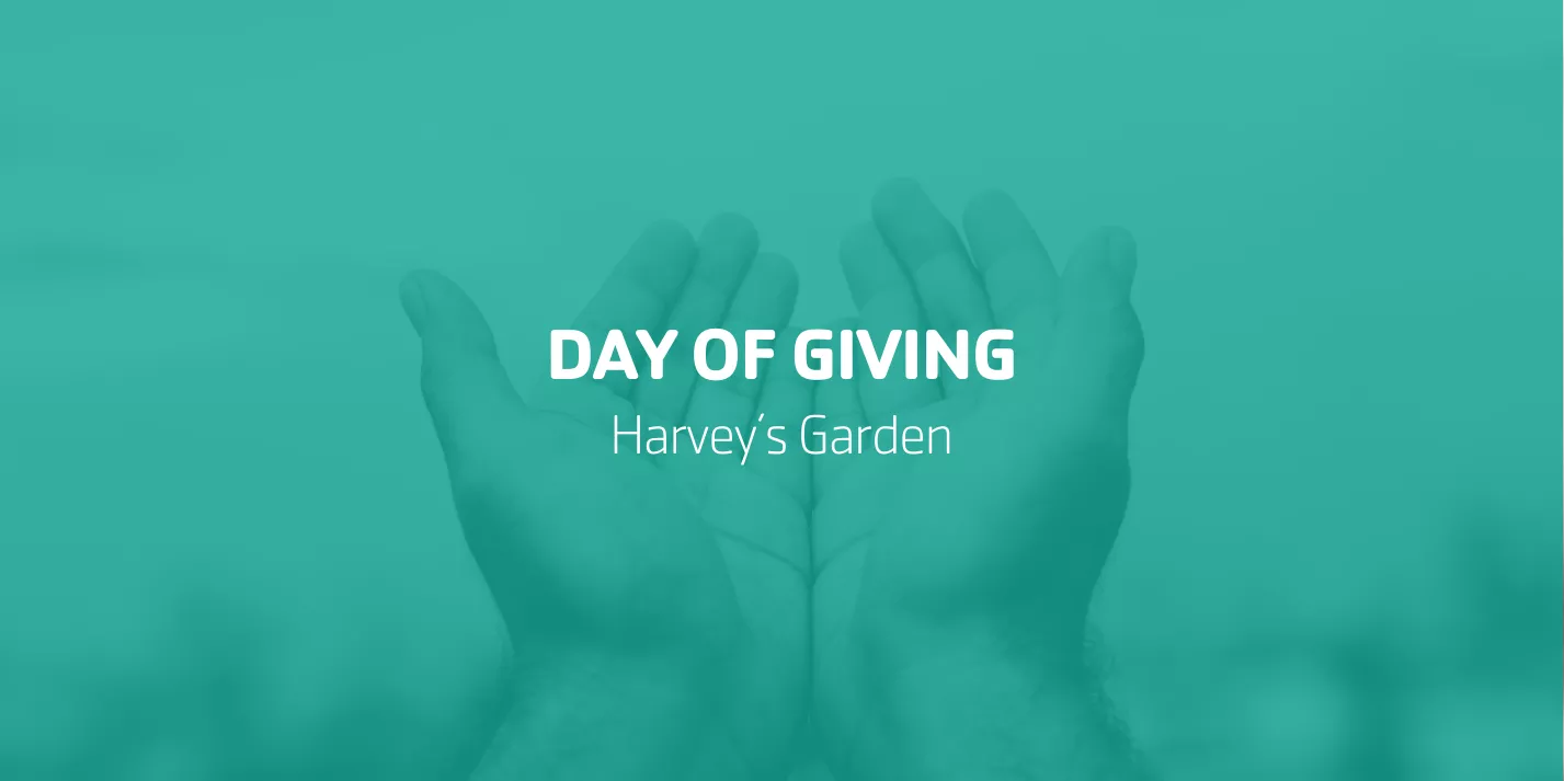 Day of Giving - Harvey's Garden