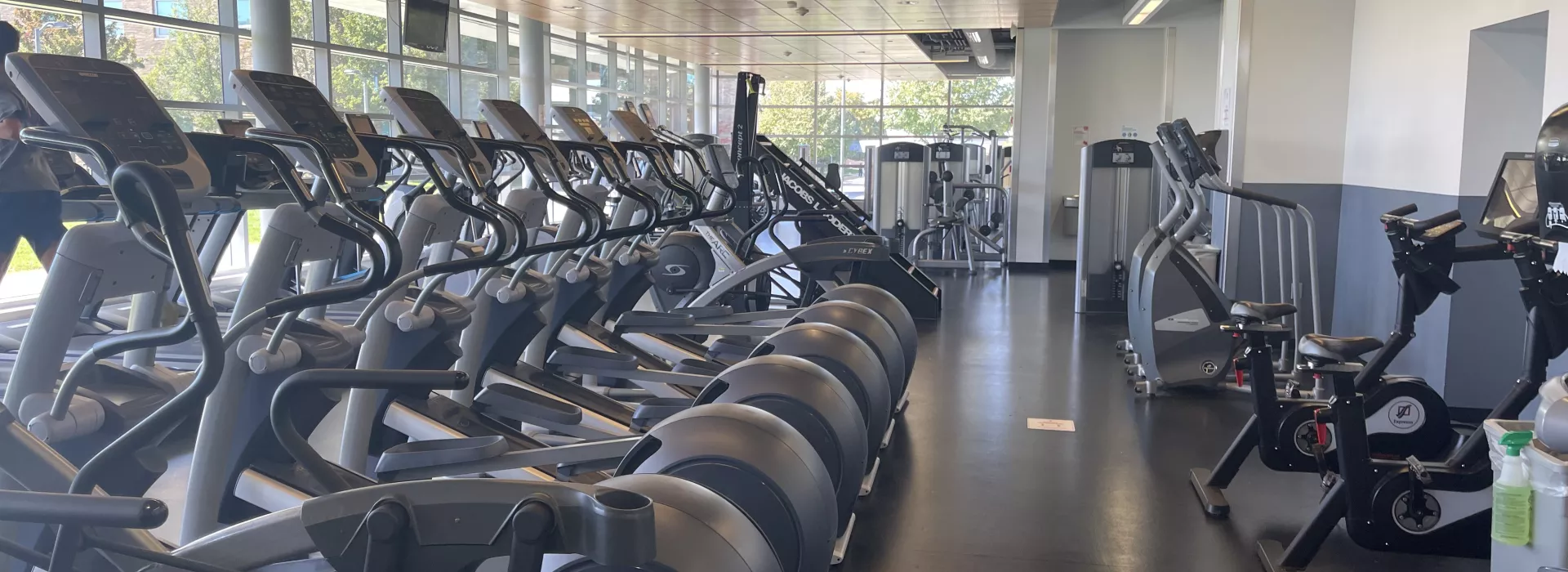 Exercise bikes in a row