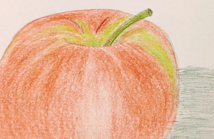 Apple drawing